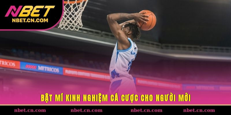 Bật mí kinh nghiệm cá cược cho người mới