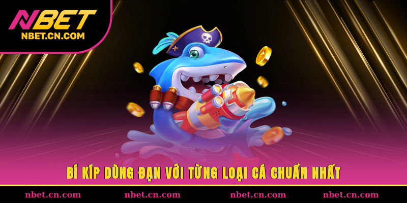 Bí kíp dùng đạn với từng loại cá chuẩn nhất