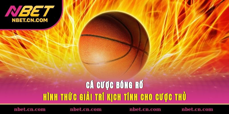 Cá Cược Bóng Rổ