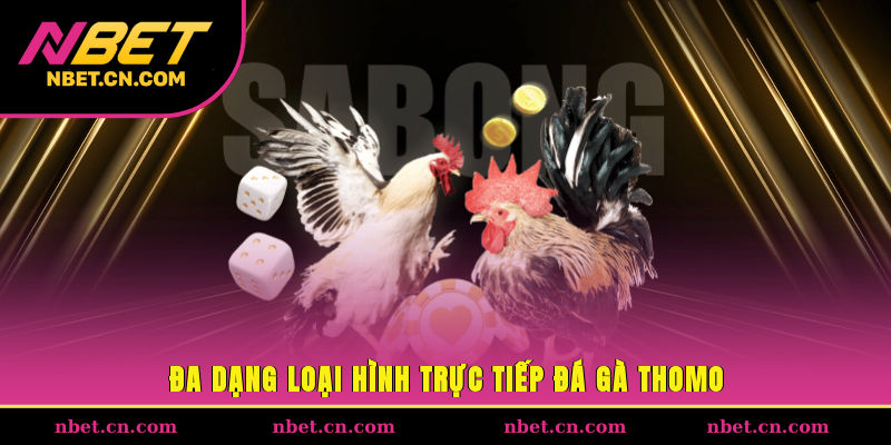 Đa dạng loại hình trực tiếp đá gà Thomo