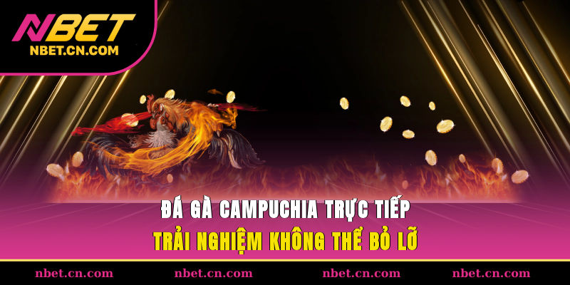 Đá Gà Campuchia Trực Tiếp
