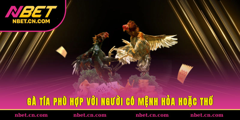Gà tía phù hợp với người có mệnh Hỏa hoặc Thổ