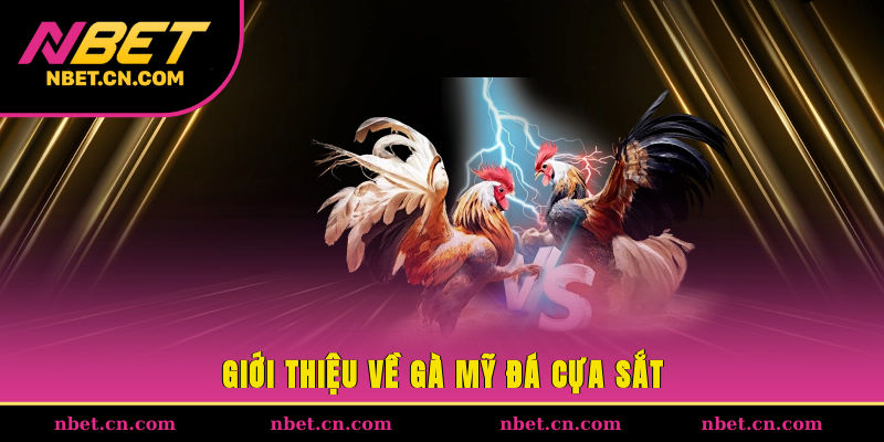 Giới thiệu về gà Mỹ đá cựa sắt