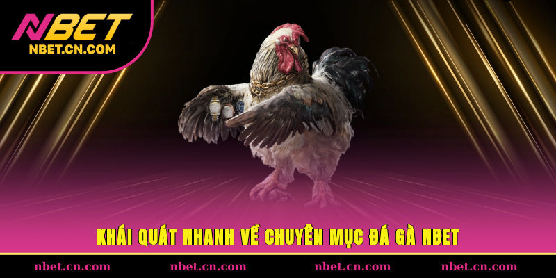 Khái quát nhanh về chuyên mục đá gà NBET