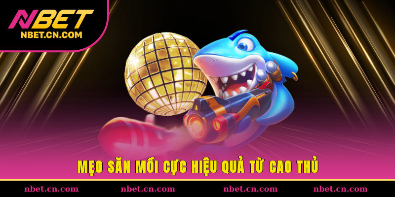 Mẹo săn mồi cực hiệu quả từ cao thủ