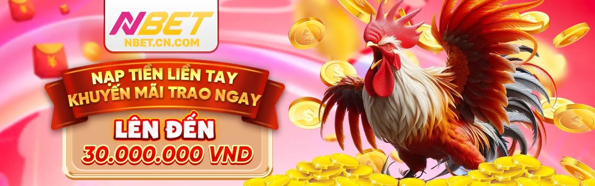 banner nbet
