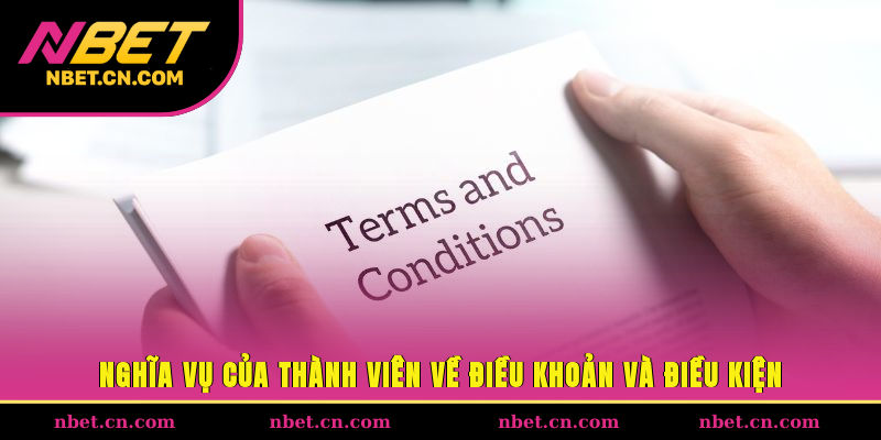 Nghĩa vụ của thành viên về điều khoản và điều kiện