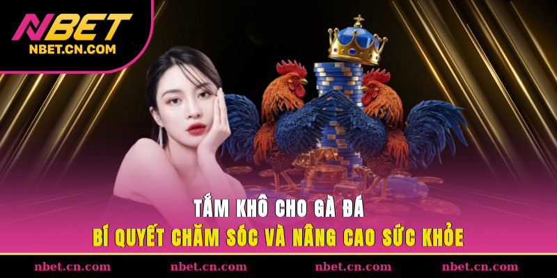 Tắm Khô Cho Gà Đá