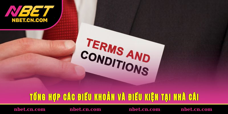 Tổng hợp các điều khoản và điều kiện tại nhà cái