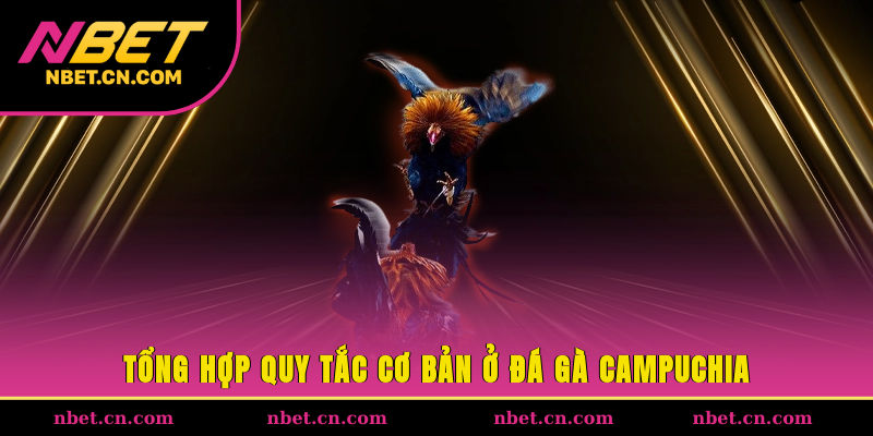 Tổng hợp quy tắc cơ bản ở đá gà Campuchia