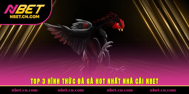 Top 3 hình thức đá gà hot nhất nhà cái NBET