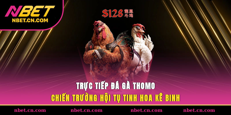 Trực Tiếp Đá Gà Thomo