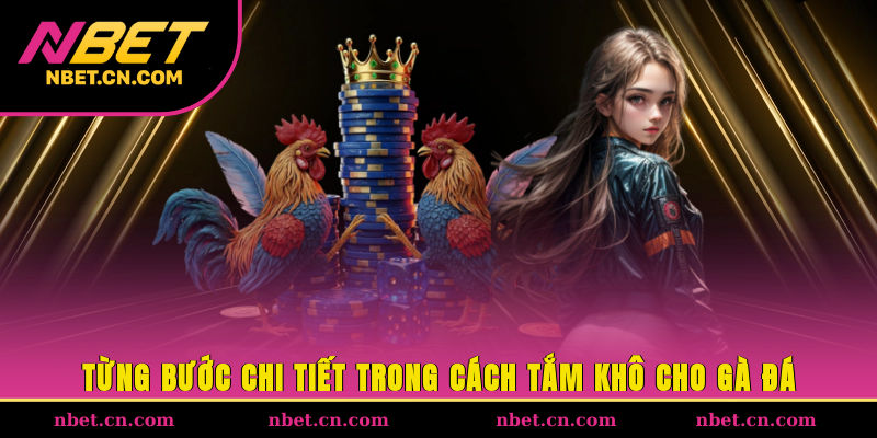 Từng bước chi tiết trong cách tắm khô cho gà đá