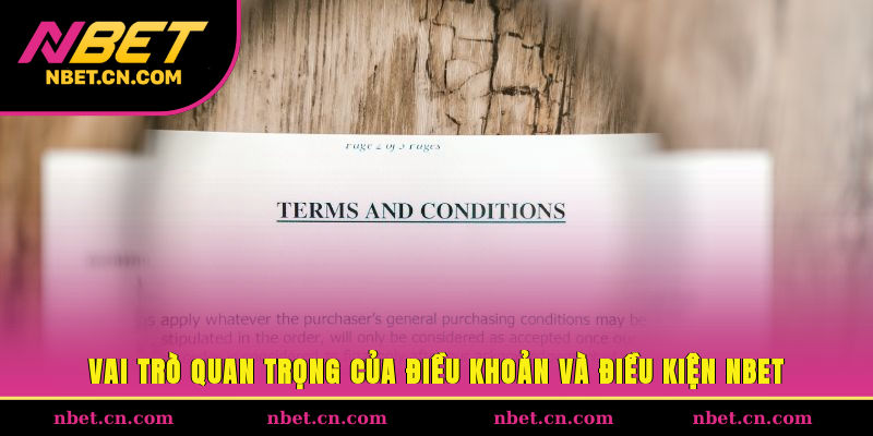 Vai trò quan trọng của điều khoản và điều kiện NBET