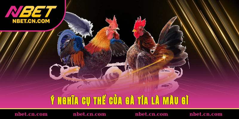 Gà tía phù hợp với người có mệnh Hỏa hoặc Thổ